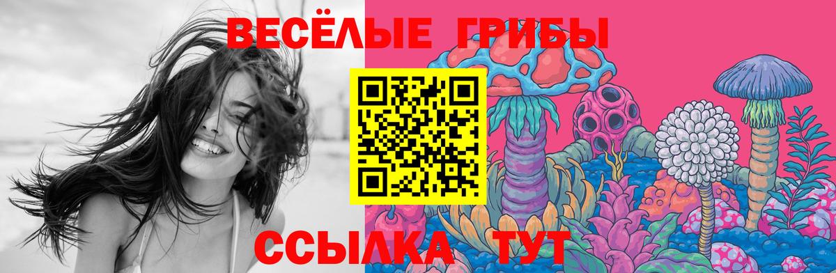 Псилоцибиновые грибы ЛСД  Вход с VPN  Алексеевка 